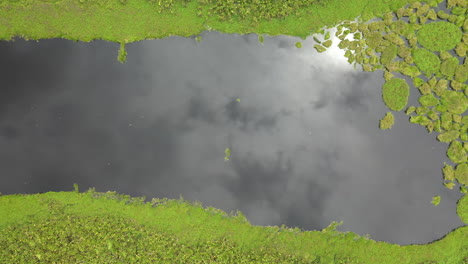 Cinematic-downward-angle-drone-shot-of-the-Amazon-river-with-lush-green-rainforest-on-all-sides-of-the-water-in-Peru