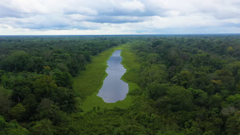 Rotating-drone-shot-of-a-pond-in-the-Amazon-Rainforest,-with-the-lush-green-forest-all-around-the-water-in-Peru