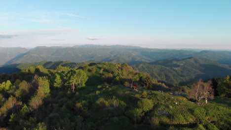 romantic-elopement-setting-on-top-of-mountain,-circular-drone-shot,-epic-scenery
