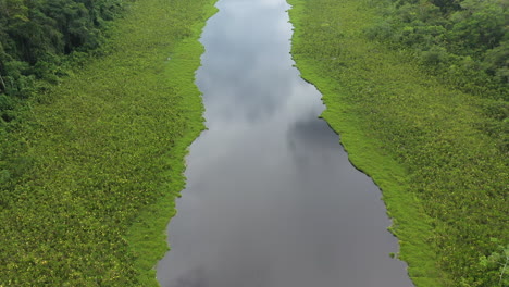 Cinematic-drone-of-the-Amazon-river-and-rainforest