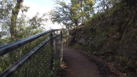 Bushwalk-tracks-adventure-with-the-wire-fence-at-Katoomba,-Blue-Mountains-Sydney,-Australia