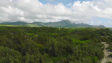 Backward-dolly-from-green-trees,-mountains,-blue-sky-to-big-sea-cliff,-beach,-and-Hawaiian-coastline