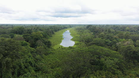 Wide-drone-shot-of-a-pond-in-the-Amazon-Rainforest,-with-the-lush-green-forest-all-around-the-water-in-Peru,-rotating