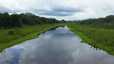 Filmische-Drohnenaufnahme-Des-Amazonas-Und-Des-Regenwaldes