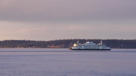 Big-Cruise-Ship-Traveling-By-Washington-Park---wide-shot