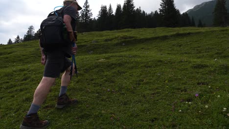 Man-hiking-walking-up-grass-hill-mountain-in-Austrian-Alps