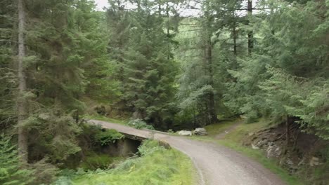 Antena-Hacia-Arriba-Que-Revela-Un-Exuberante-Camino-Forestal-Desde-El-Parque-Nacional-De-Las-Montañas-Wicklow,-Irlanda