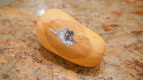 Close-up-view-of-a-rotten-butternut-squash-on-the-table-with-the-nasty-side-visible-on-the-table-in-the-kitchen