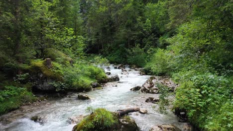 Wald-Stromschnellen-Luft-österreichische-Alpen-Ziehen-Mit-Wasser