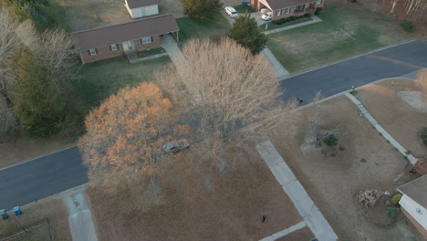 Fall-Leafless-Tree-In-Scorched-House-Backyard-In-Durham-Suburb,-Aerial