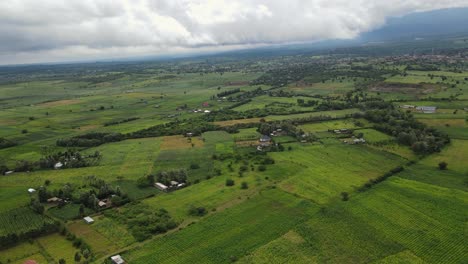 Green-landscape-of-farming-area-Loitokitok,-Kenya,-aerial-panorama-on-cloudy-day