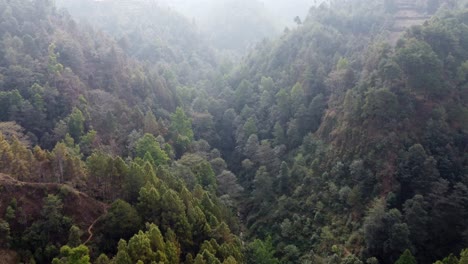 Volando-Por-Un-Valle-Cubierto-De-árboles-En-Las-Colinas-De-Nepal