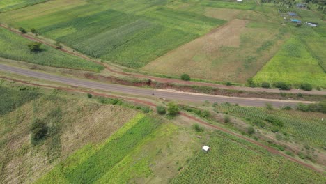 Lonely-motorbike-driving-asphalt-road-amid-green-plantations,-Loitokitok,-Kenya,-aerial-view