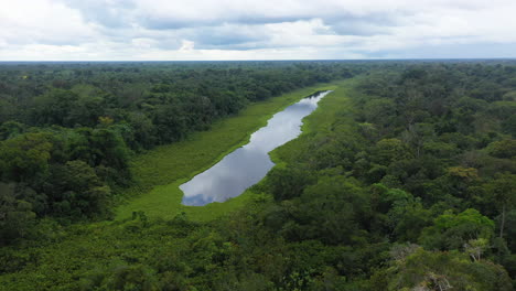 Cinematic-drone-shot-of-a-pond-in-the-Amazon-Rainforest,-with-the-lush-green-forest-all-around-the-water-in-Peru,-rotating