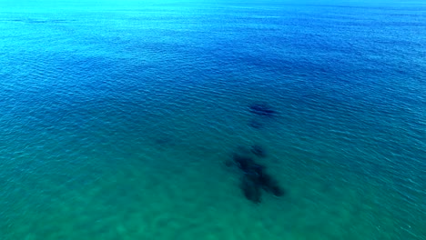 Drone-flies-above-blue-azure-turquoise-Pacific-Ocean-in-Cabo,-Mexico