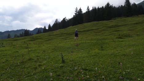 Hombre-Caminando-Caminando-Por-Senderos-De-Hierba-En-Las-Montañas-Alpes-Austríacos