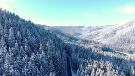 Winter-Forest-With-Road-In-The-Middle---aerial-drone-shot