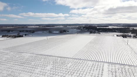 Vineyard-farm-township-frozen-at-four-mile-creek-Virgil-Ontario