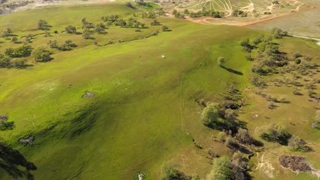 Luftaufnahme-Von-Graslandtälern-Und-Hügeln-In-Der-Zentralkalifornischen-Landschaft