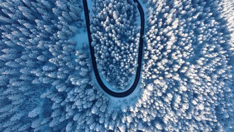 Snow-covered-Forest-And-Asphalt-Road-At-Winter-From-Above