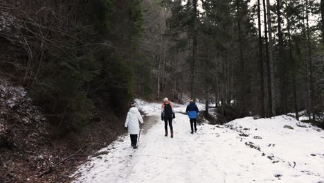 Tourists-Trekking-On-Snow-Covered-Dirt-Road-In-Forest-Woods-During-Winter