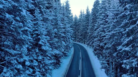 Road-In-Beautiful-Winter-Mountain-Forest---drone-forward
