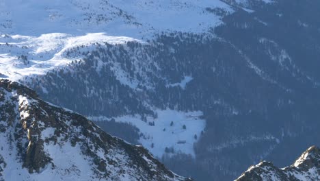 Detalles-Sobre-Un-Pico-Rocoso-Y-Un-Bosque-Nevado-En-Los-Alpes-Del-Tirol---Vista-Panorámica