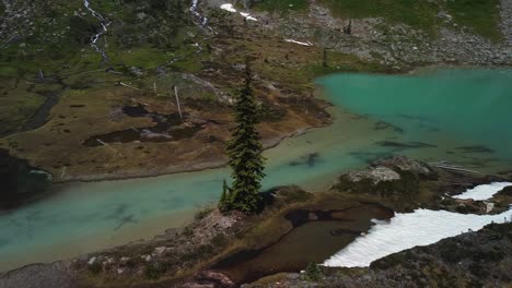 Orbiting-tree-next-to-the-turquoise-crystal-clear-creek,-aerial-shot,-West-Kootenays