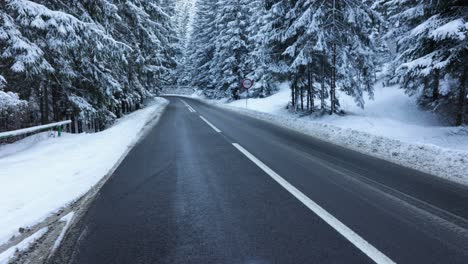 Road-In-A-Winter-Scenery---tilt-up-shot