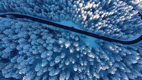 Top-View-Of-Snowy-Forest-With-Road-During-Winter---aerial-drone-shot