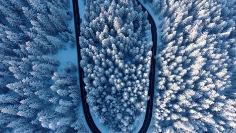 Curvy-Windy-Mountain-Road-In-Snow-Covered-Forest---aerial-top-down