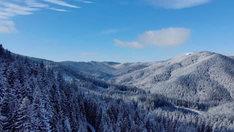 Drone-Descends-Revealed-Snow-Covered-Trees-On-Mountains