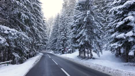 Mountain-Road-Through-Snow-Covered-Coniferous-Forest-During-Winter---wide-shot