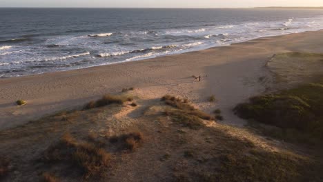 Mann,-Der-Bei-Sonnenuntergang-Mit-Hunden-Am-Strand-Spaziert,-La-Pedrera-In-Uruguay