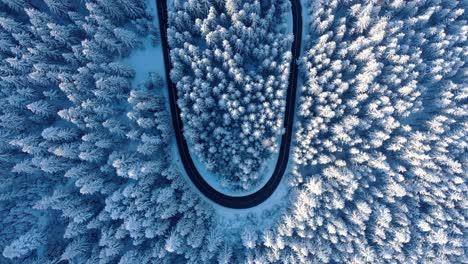 Top-Down-View-Of-Mountain-Road-In-Winter-Forest---drone-shot