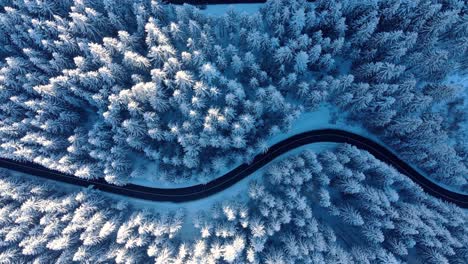 Roads-In-Snowy-Winter-Forest---bird's-eye-view
