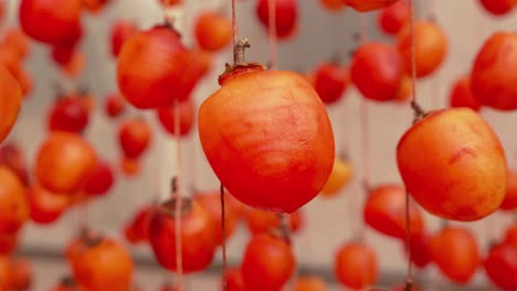 Extreme-close-up-vibrant-persimmons-hung-up-to-dry-up,-Hoshigaki-Japanese-style