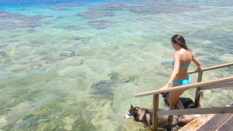 Young-woman-in-a-bikini-going-to-swim-with-2-dog-in-a-tropical-sea,-Honduras,-Utila