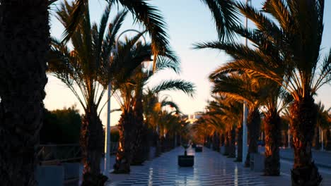 Palm-trees-blowing-in-the-gentle-breeze-along-a-walkway-to-a-resort-or-hotel-in-a-tropical-paradise-at-sunset