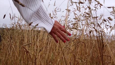 Young-girl's-hand-caressing-in-slow-motion-the-dry-wheat-crops-by-the-coast