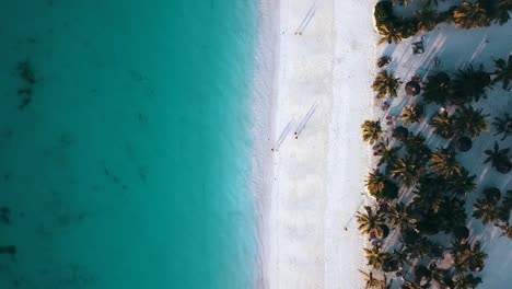 Spectacular-aerial-flight-bird's-eye-view-rising-up-drone-shot-of-a-paradise-white-sand-dream-beach-turquoise-water-and-people-long-shadow-Zanzibar,-Africa-2019