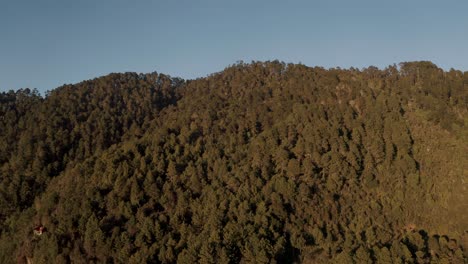 Green-pine-tree-forest-on-mountain-range