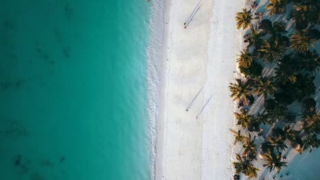 Perfect-aerial-flight-bird's-eye-view-drone-shot-of-people-with-long-shadows-on-white-sand-paradise-dream-beach-wave-coast-line-Zanzibar,-Africa-Tanzania-2019-Cinematic-1080,-60p-by-Philipp-Marnitz