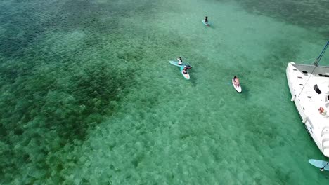 Antena-Sobre-Turistas-Montando-Paddle-Surf-En-El-Distrito-De-La-Playa-De-Boca-Chica-En-La-República-Dominicana
