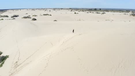 Girl-exploring-huge-sand-dunes-in-an-Australian-desert-on-a-hot-bright-sunny-day,-aerial-shot