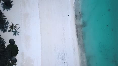 1-million-$-aerial-flight-slowly-rise-up-drone-shot-of-a-dreamy-white-sandy-beach-with-turquoise-water-and-palm-trees-Paradise-Zanzibar,-Africa-2019