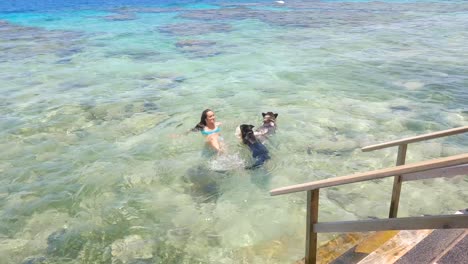 Mujer-Joven-En-Bikini-Nadando-Con-2-Perros-En-Un-Mar-Tropical,-Honduras,-Utila
