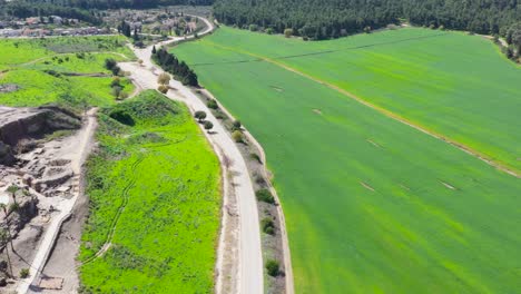 Aerial-view-of-green-hills-and-Megido-forest-outside-Tel-Megiddo-National-Park,-Israel