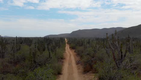 Camino-De-Tierra-En-Las-Zonas-Rurales-De-México,-Cerca-De-Todos-Santos