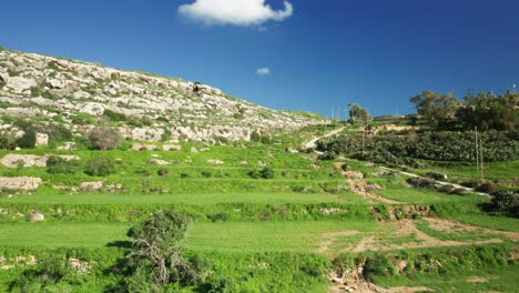 Antena:-La-Vegetación-Crece-En-Las-Laderas-Cerca-De-La-Bahía-Magrr-Ix-xini-En-Un-Día-Soleado-En-Invierno-En-Malta